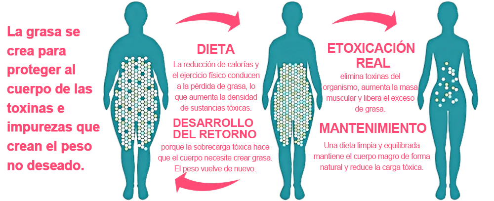 𝑷𝑬𝑨𝑹𝑳𝑴𝑶𝑶𝐍® Pantalones Cortos 💕💕Moldeadores Reparadores de Fibra Iónica de Seda Helada 👨⚕️Quema de grasa, reafirmación de la piel, promoción de la circulación y el drenaje linfático para una salud holística
